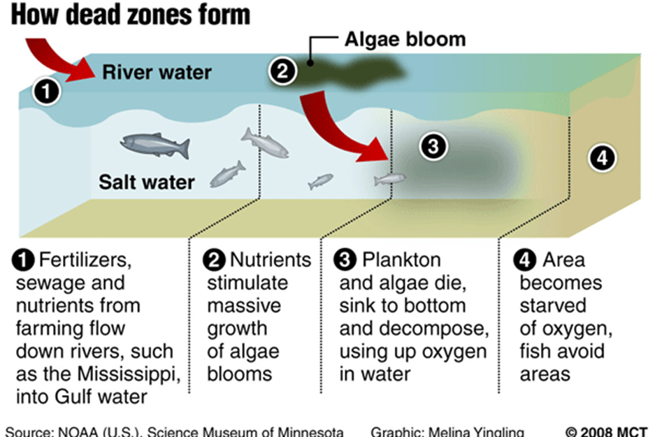 Dead Zones