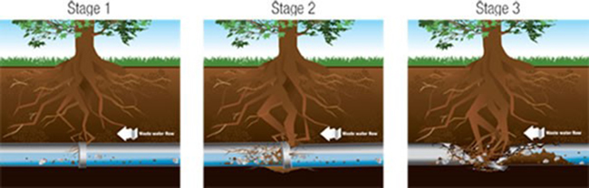 Sewer Issue Stages